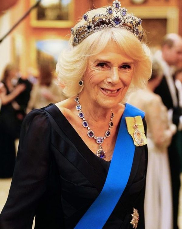 Queen Consort Camilla Diplomatic Reception Queen's brooch 