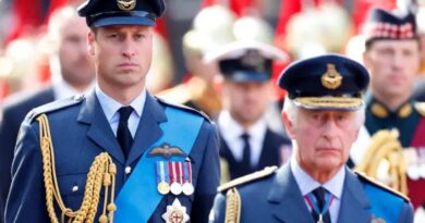 Why Prince William And King Charles Didn't Attend King Constantine's Funeral