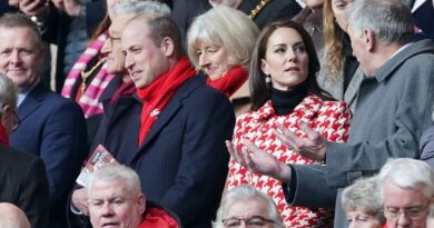 Prince William And Kate Watch England And Wales Go Head-to-head 