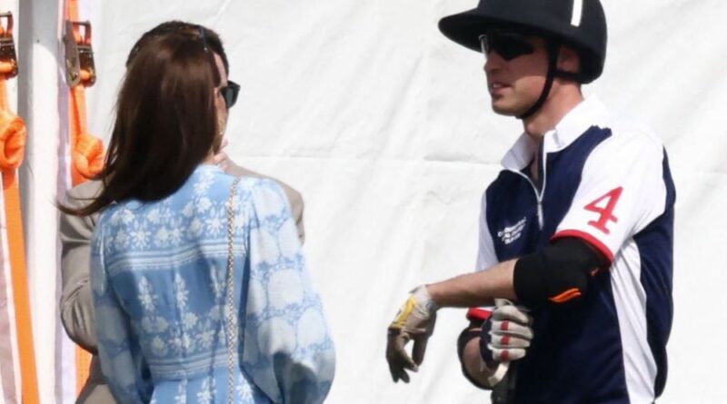 Dazzling Kate Middleton Supports Prince William At Polo Match